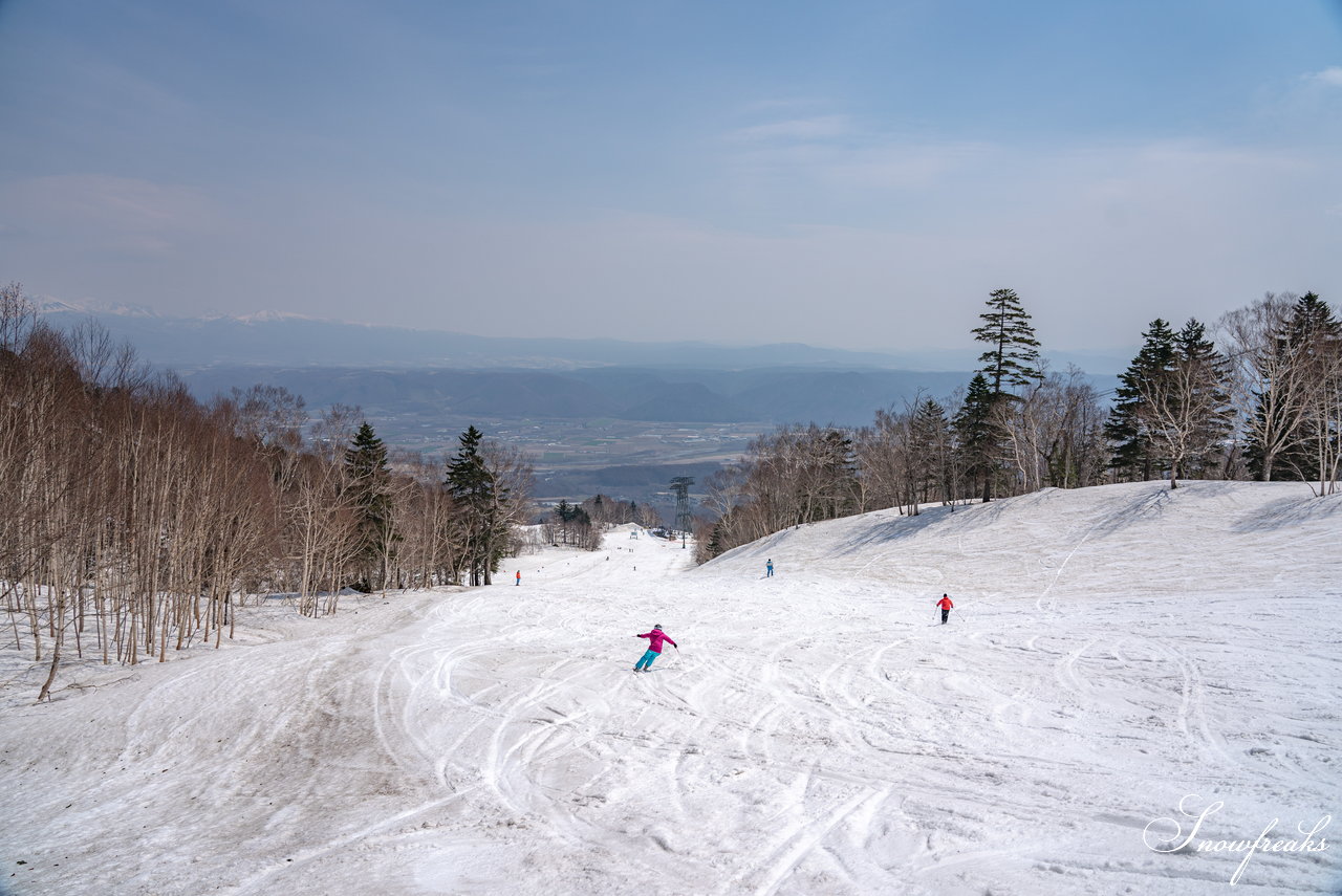 富良野スキー場　さすが富良野！4月24日現在、山麓までの全長約3,000ｍロングコースがオープン中(^^)/